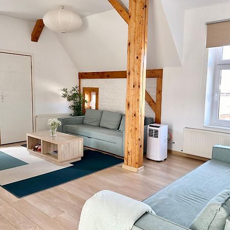 Przestronny Apartament Nr 7 Z Widokiem Na Gory Sowie 别拉瓦 外观 照片