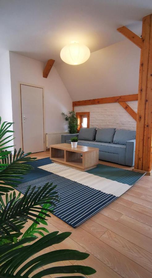 Przestronny Apartament Nr 7 Z Widokiem Na Gory Sowie 别拉瓦 外观 照片