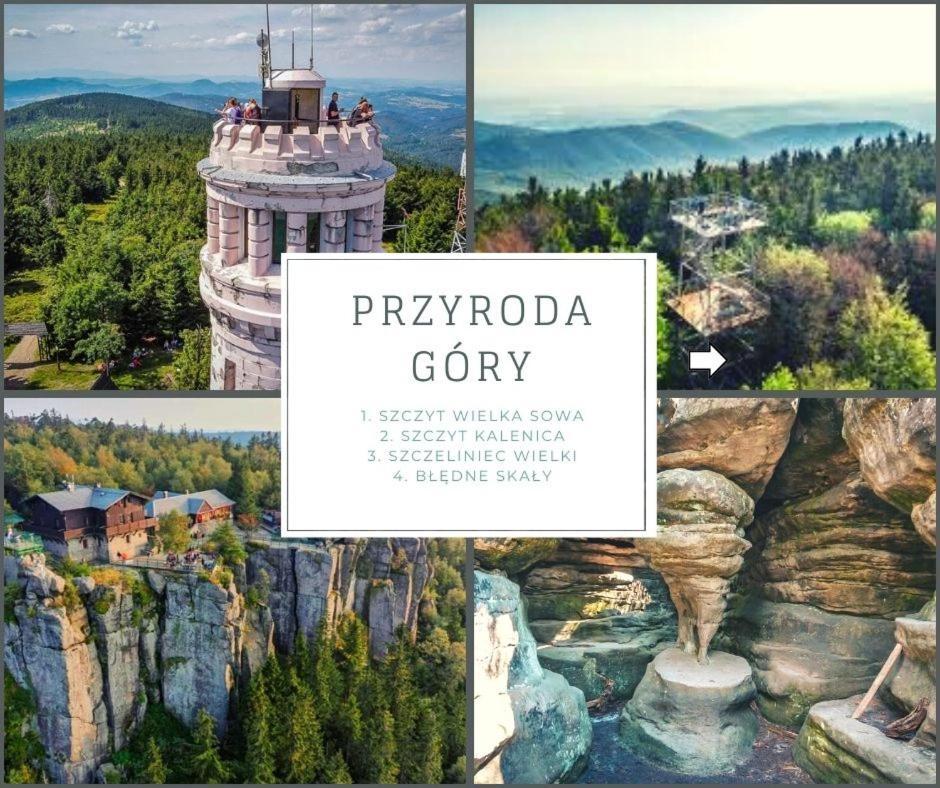 Przestronny Apartament Nr 7 Z Widokiem Na Gory Sowie 别拉瓦 外观 照片